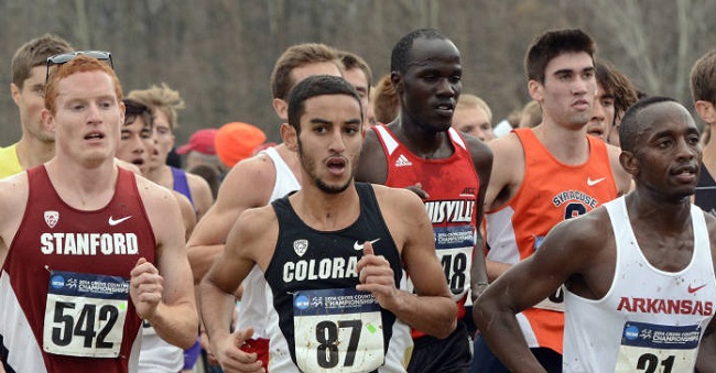 Moussa finished fifth at the 2014 NCAA Cross Country Championships.